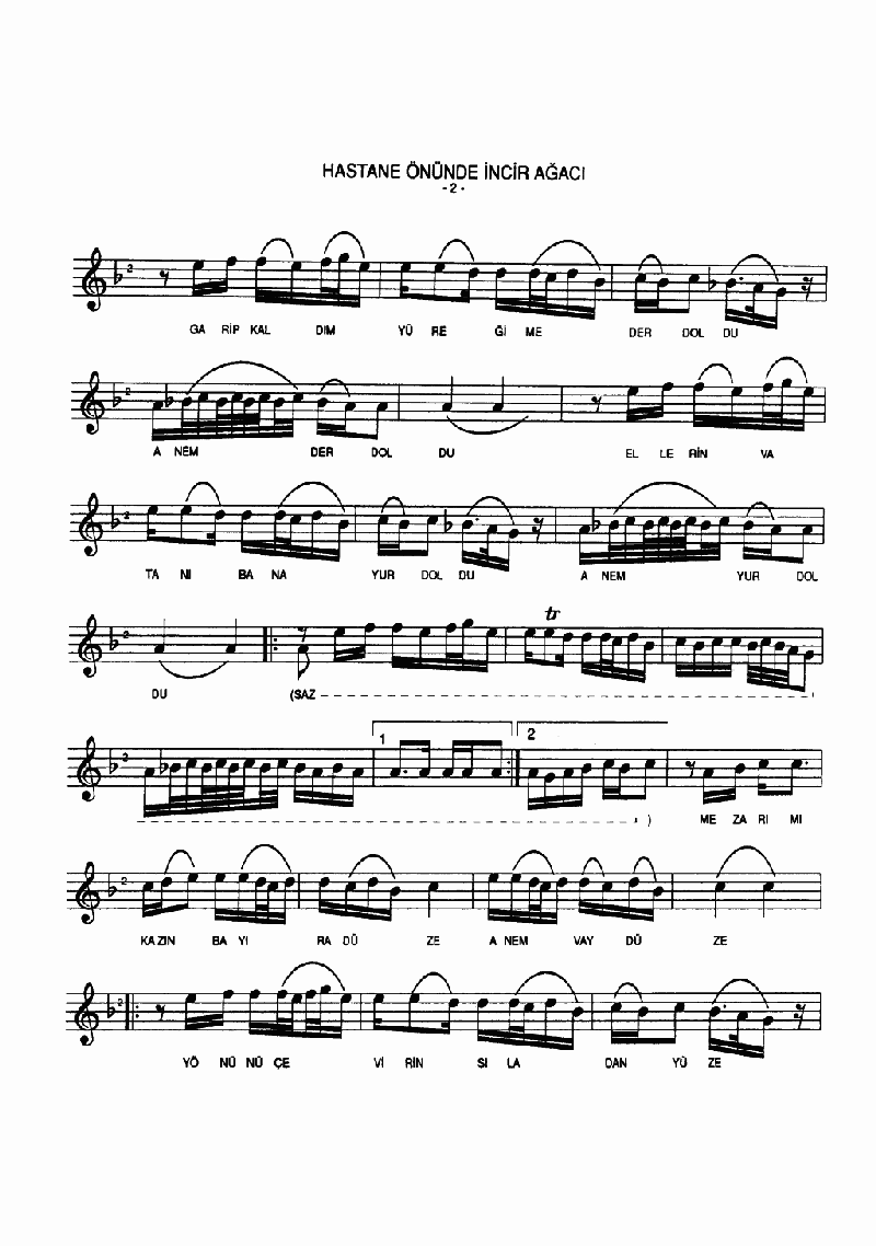 HASTANE ÖNÜNDE İNCİR AĞACI