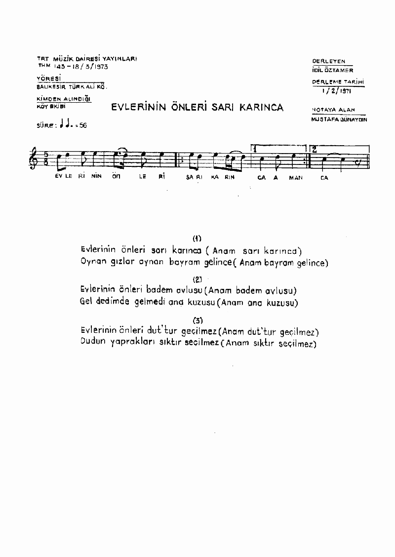 EVLERİNİN ÖNLERİ SARI KARINCA