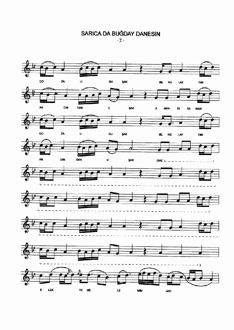 SARICA BUĞDAY DANESİN