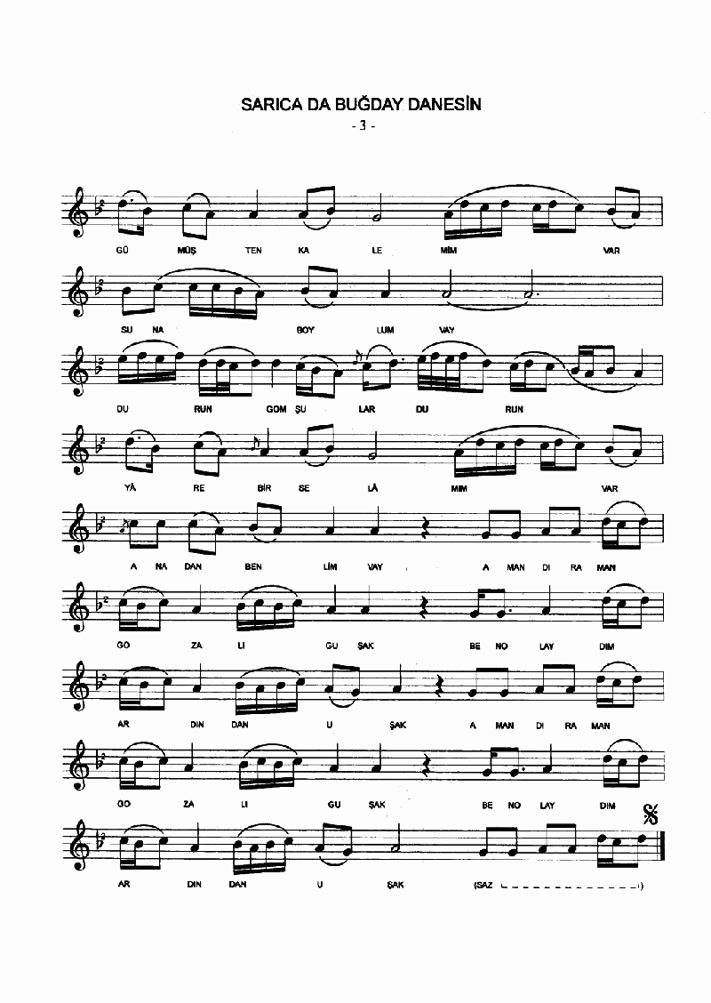 SARICA BUĞDAY DANESİN