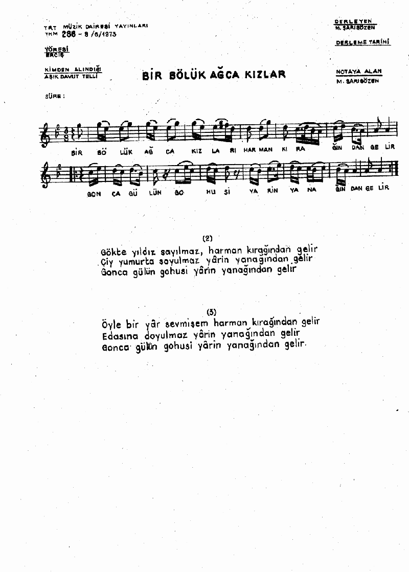 BİR BÖLÜK AĞCA KIZLAR