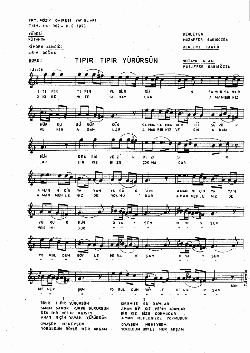 TIPIR TIPIR YÜRÜRSÜN