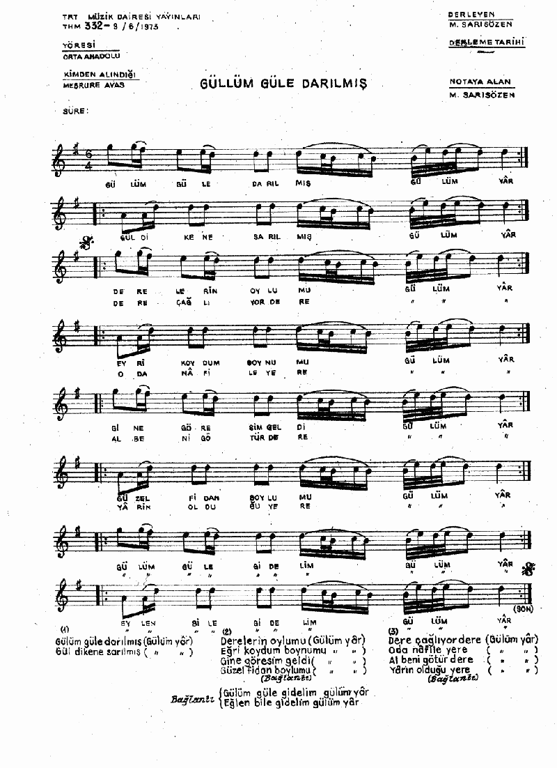 GÜLLÜM GÜLE DARILMIŞ