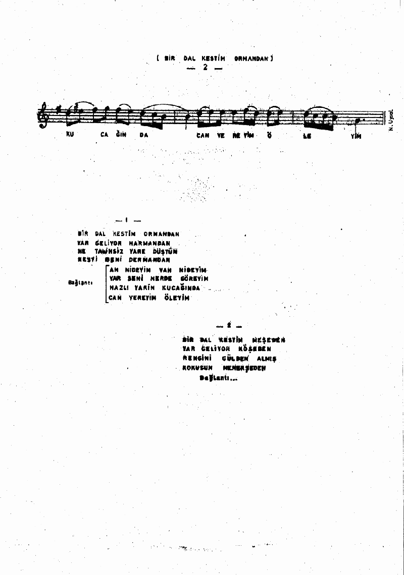 BİR DAL KESTİM ORMANDAN