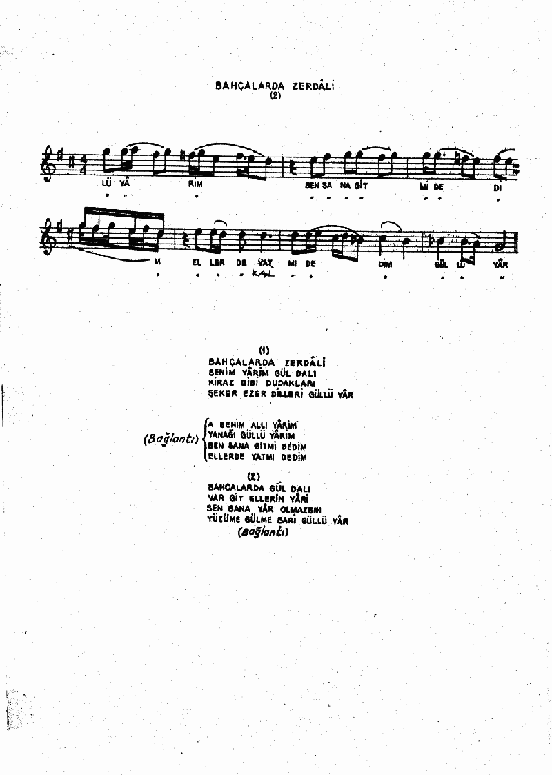 BAHÇALARDA ZERDALİ