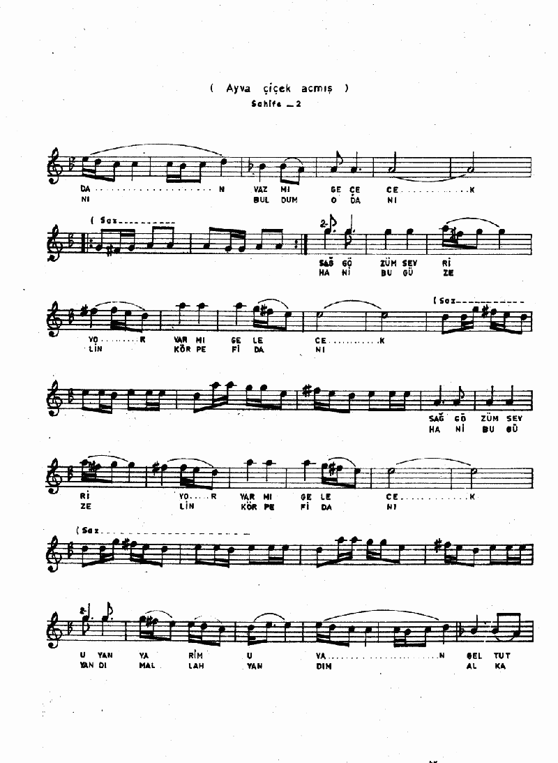 AYVA ÇİÇEK AÇMIŞ YAZ MI GELECEK