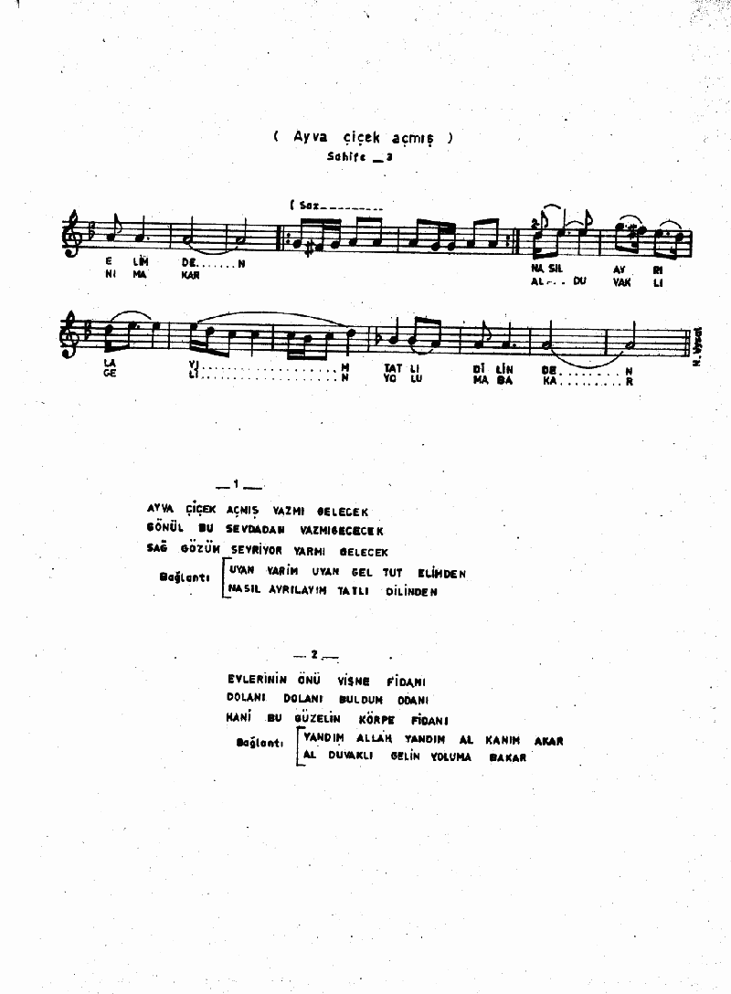 AYVA ÇİÇEK AÇMIŞ YAZ MI GELECEK