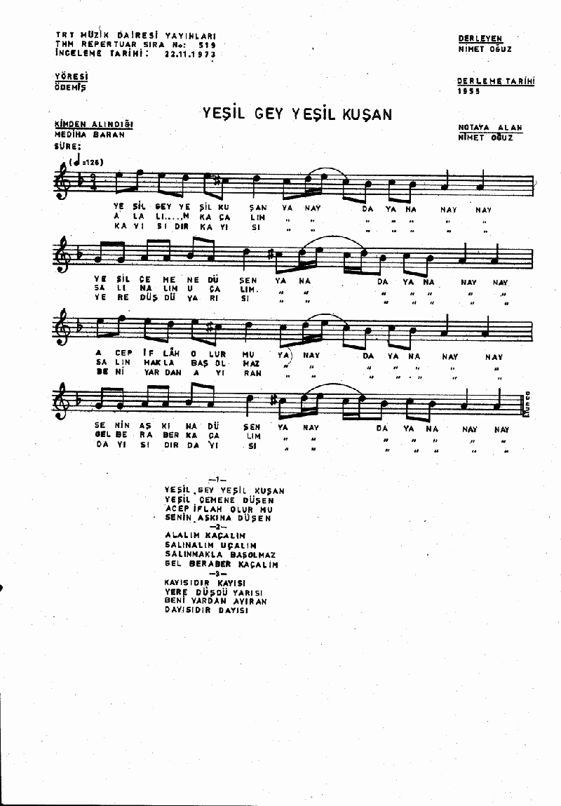 YEŞİL GEY YEŞİL KUŞAN