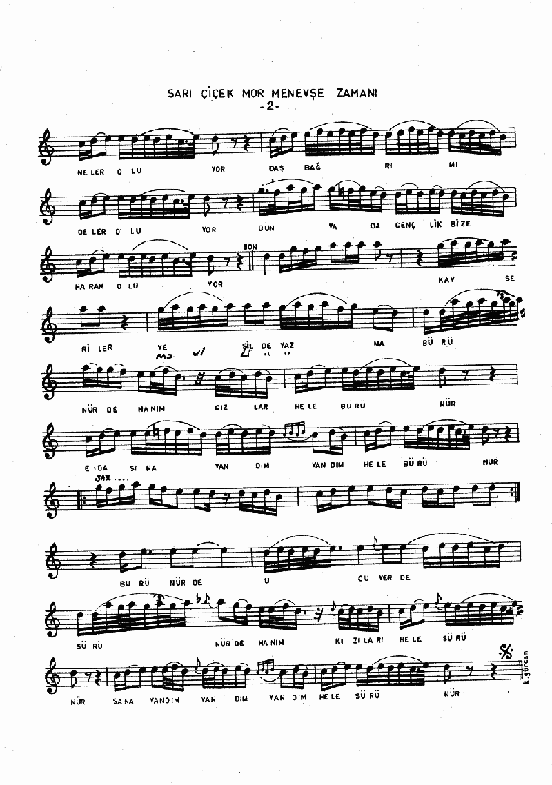 SARI ÇİÇEK MOR MENEVŞE ZAMANI