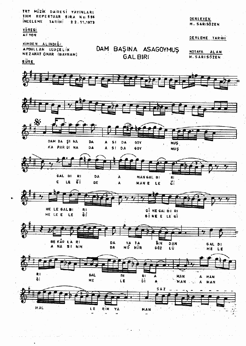 DAM BAŞINA ASI GOYMUŞ GALBIRI