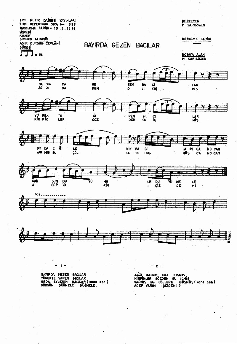 BAYIRDA GEZEN BACILAR