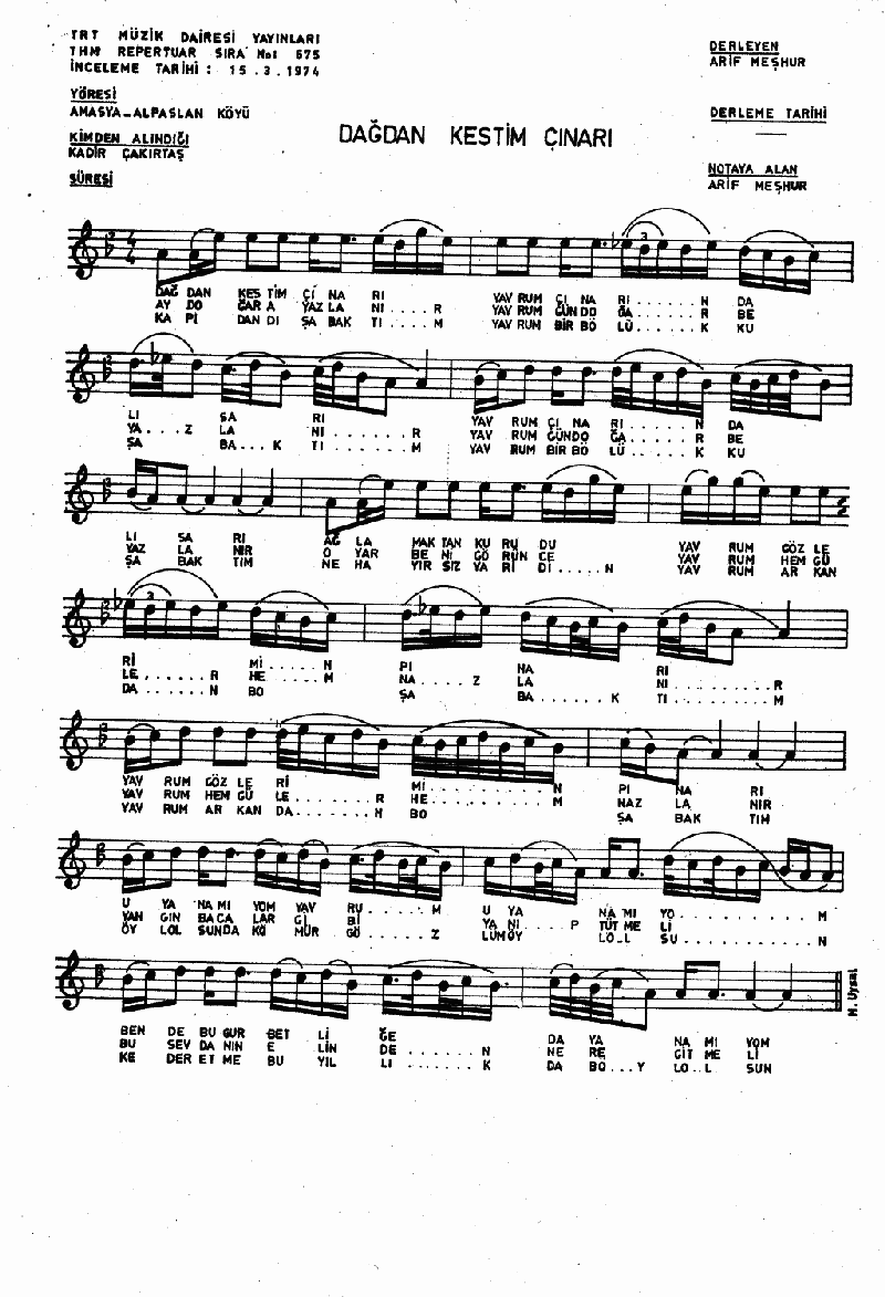 DAĞDAN KESTİM ÇINARI