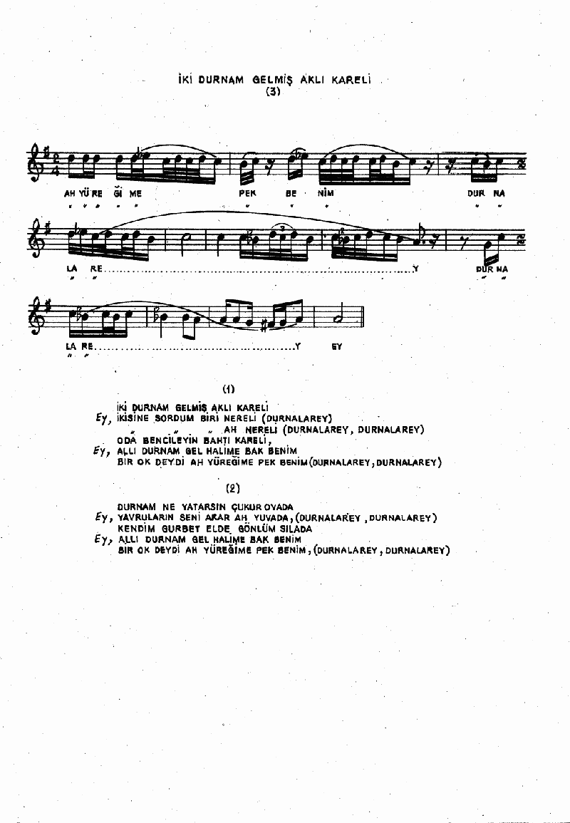 İKİ DURNAM GELMİŞ AKLI KARELİ