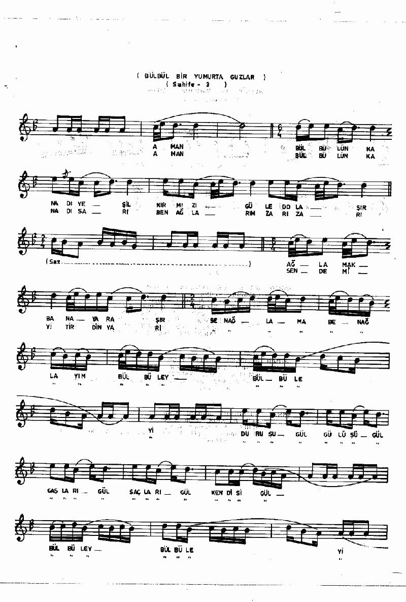 BÜLBÜL BİR YUMURTA GUZLAR