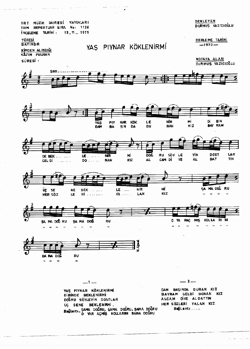 YAŞ PIYNAR KÖKLENİR Mİ