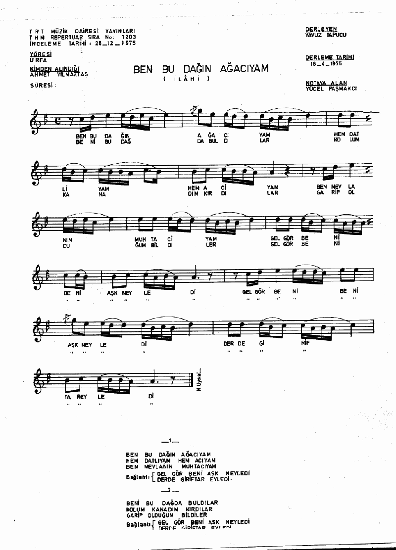 BEN BU DAĞIN AĞACIYAM