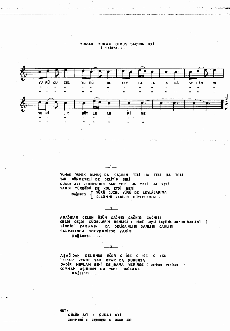 YUMAK YUMAK OLMUŞ SAÇININ TELİ