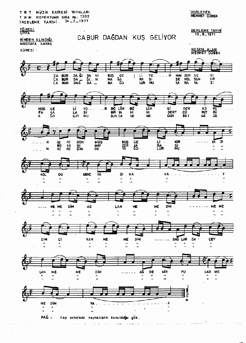 CABUR DAĞDAN KUŞ GELİR