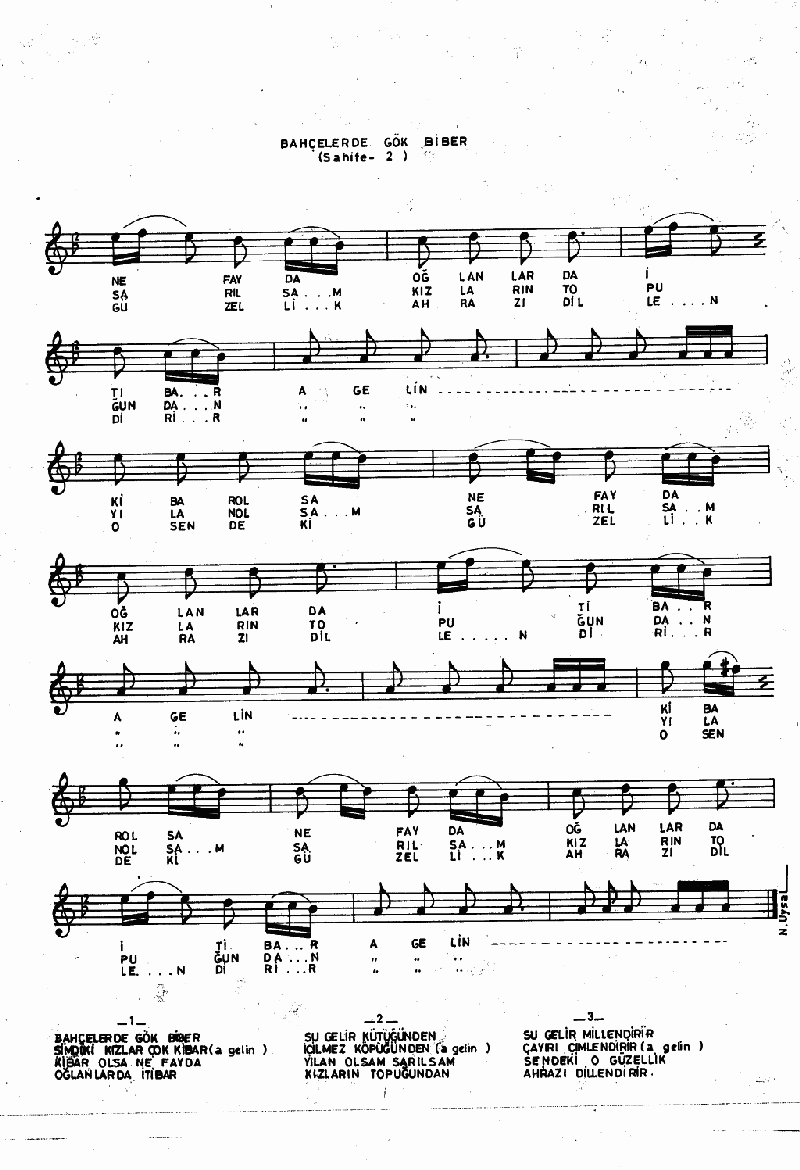 BAHÇELERDE GÖK BİBER