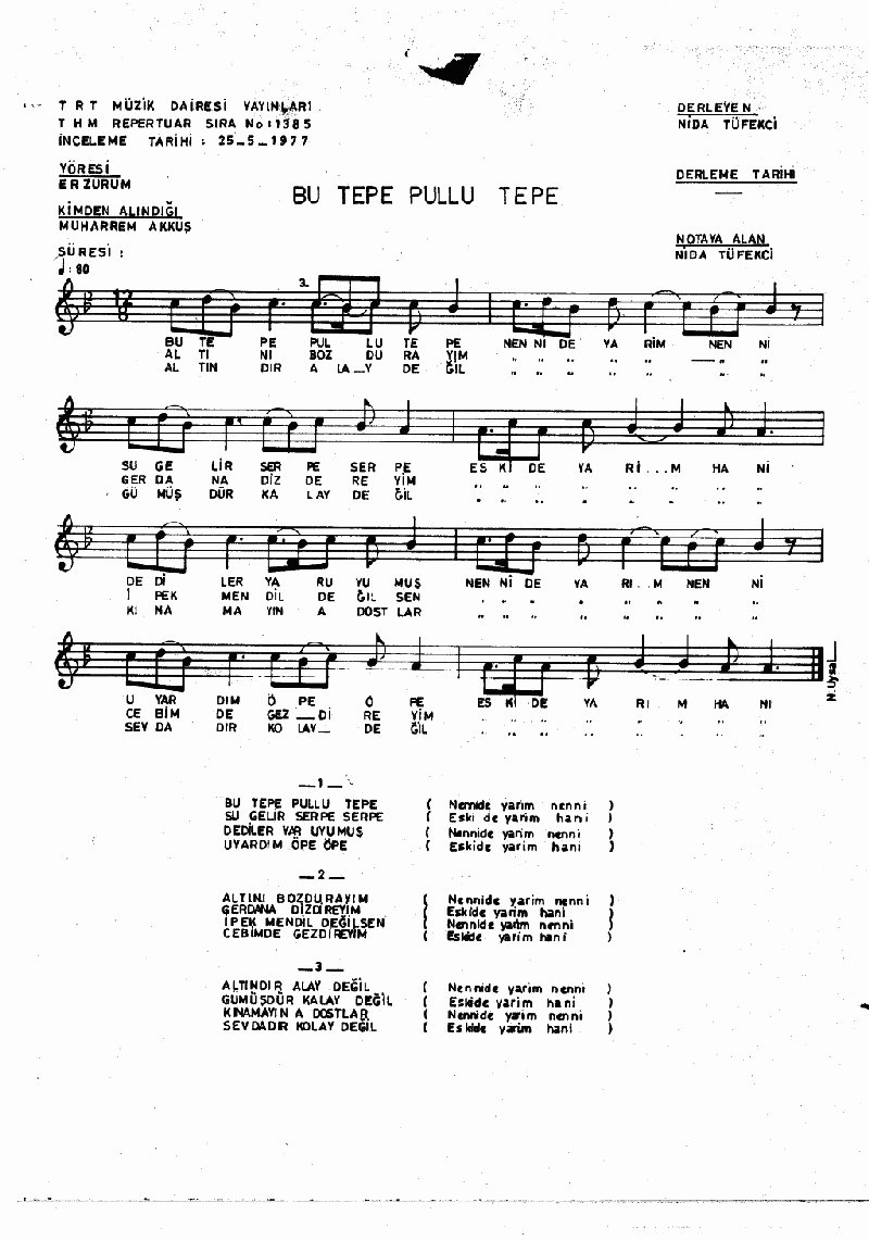BU TEPE PULLU TEPE