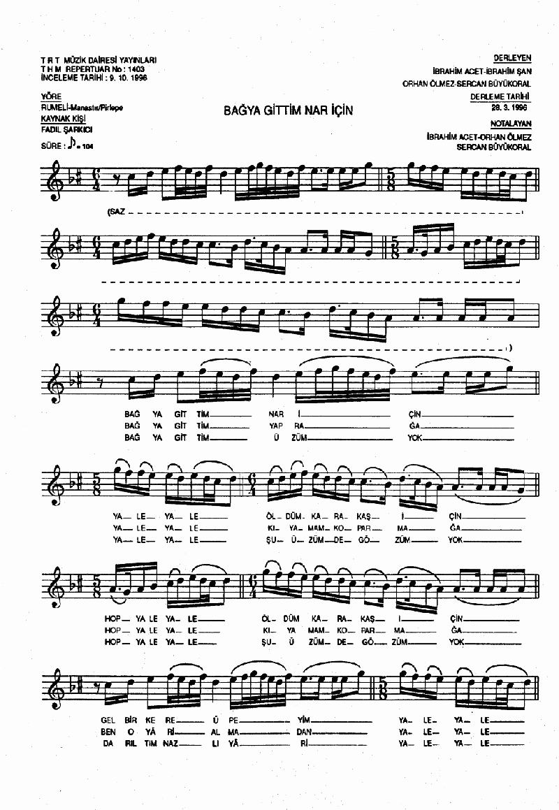 BAĞYA GİTTİM NAR İÇİN