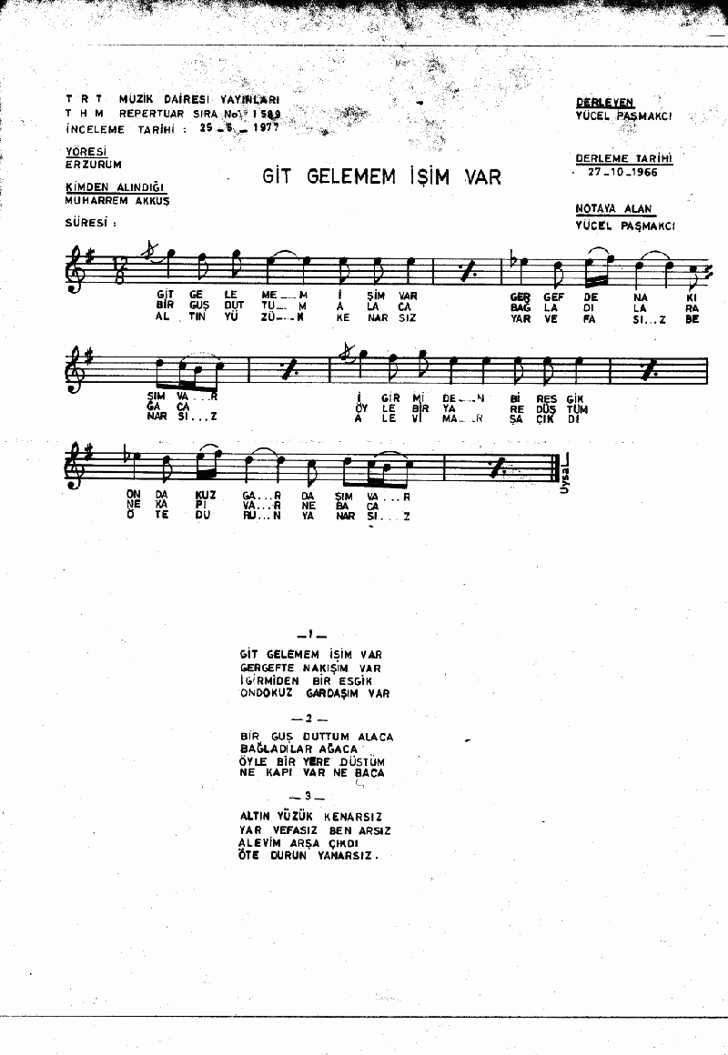 GİT GELEMEM İŞİM VAR