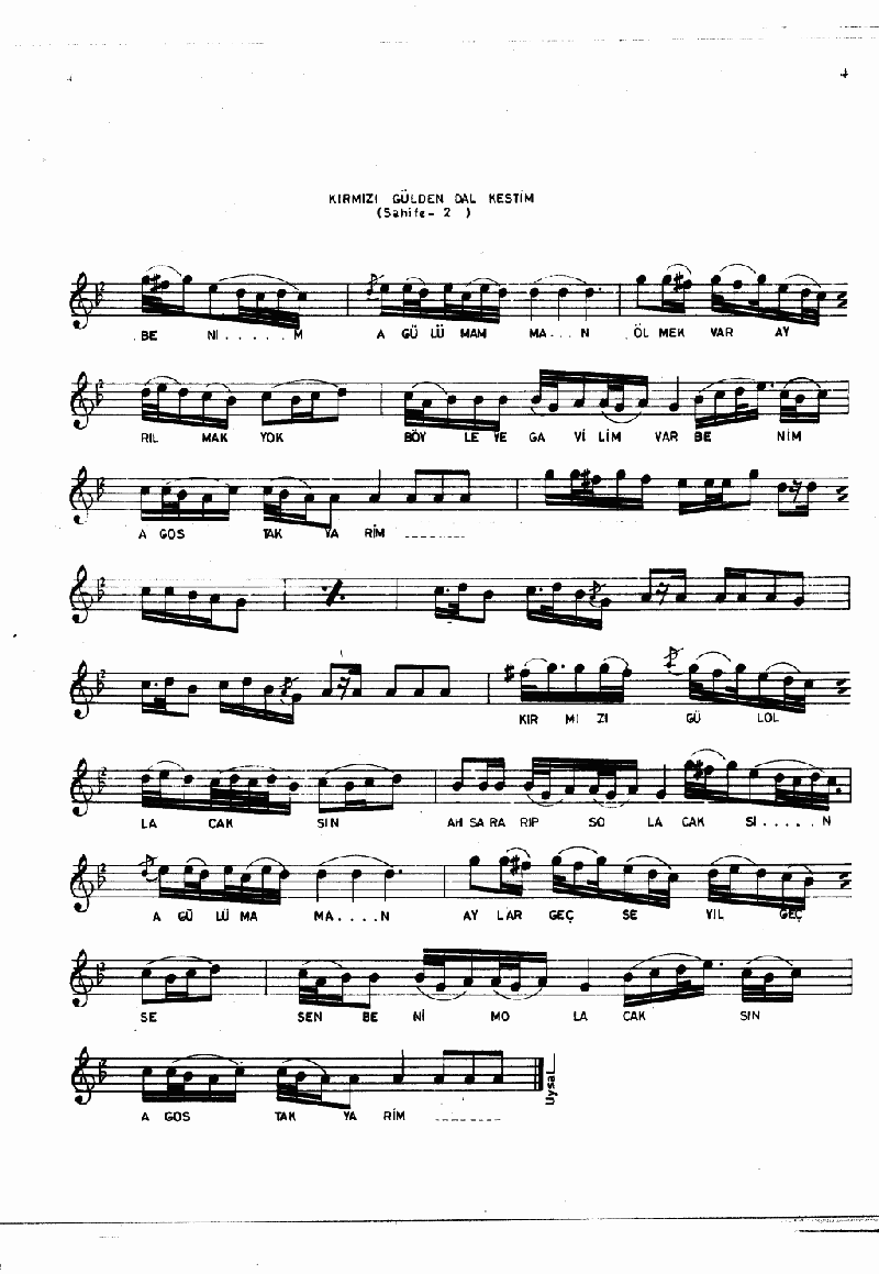 KIRMIZI GÜLDEN DAL KESTİM