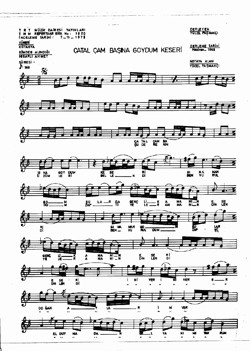 ÇATAL ÇAM BAŞINA GOYDUM KESERİ