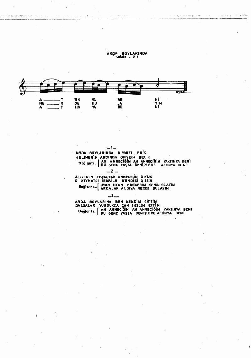 ARDA BOYLARINDA KIRMIZI ERİK