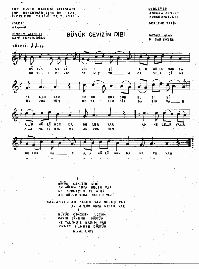 BÜYÜK CEVİZİN DİBİ - II