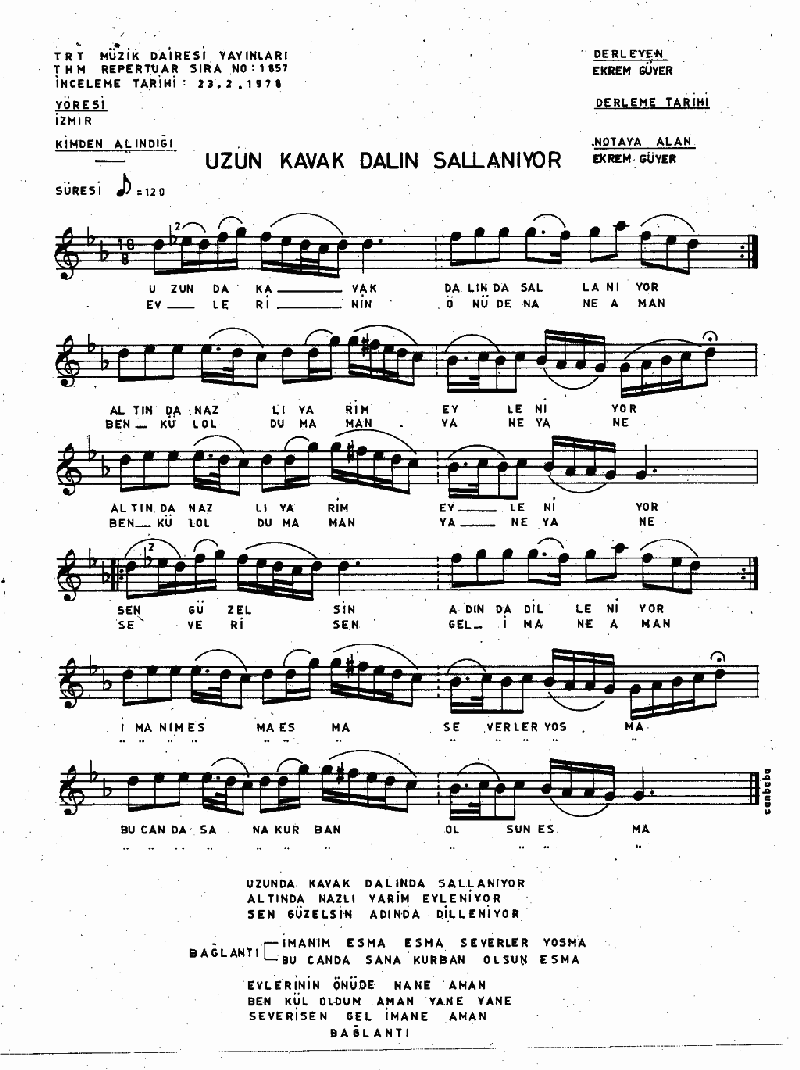 UZUNDA KAVAK DALINDA SALLANIYOR