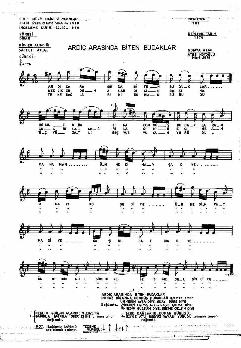 ARDIÇ ARASINDA BİTEN BUDAKLAR