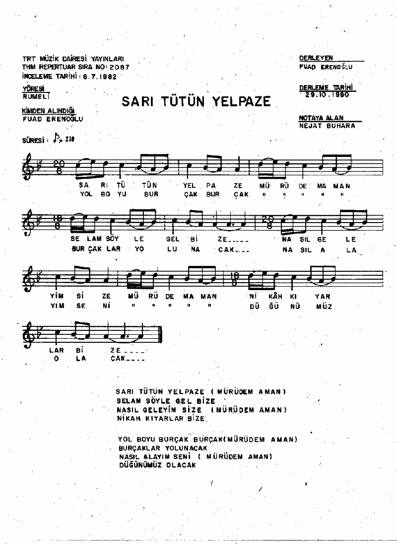 SARI TÜTÜN YELPAZE