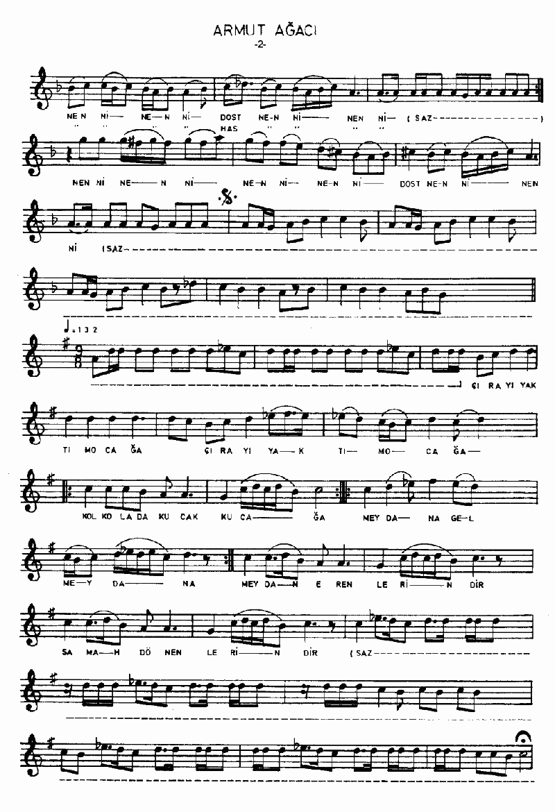 ARMUT AĞACI