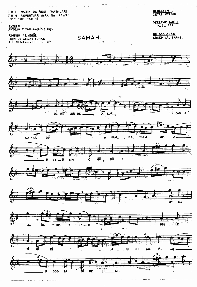 DERELERDE OLUR ÇAMLI SÖĞÜDÜ