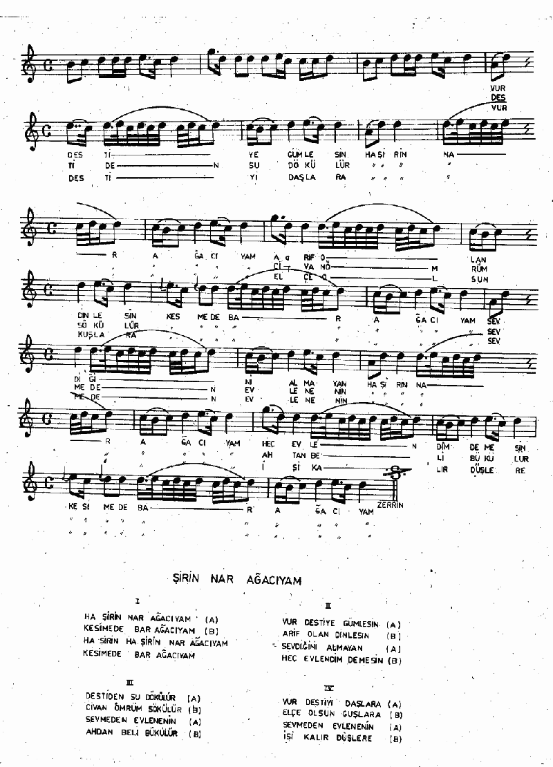 ŞİRİN NAR AĞACIYAM