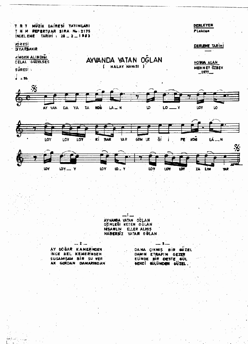 AYVANDA YATAN OĞLAN