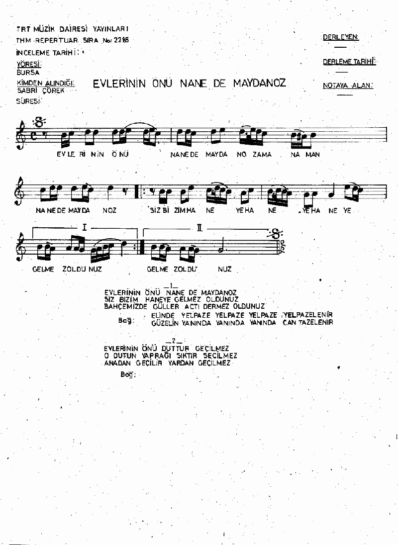 EVLERİNİN ÖNÜ NANE MAYDANOZ