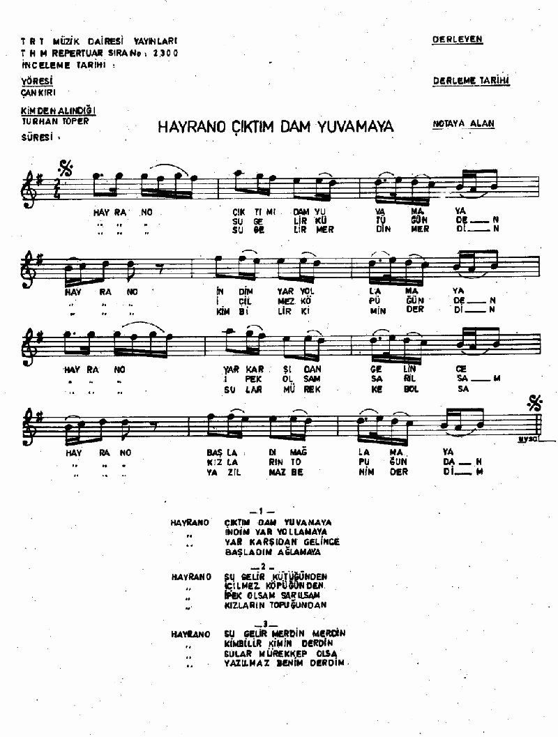 ÇIKTIM DAM YUVAMAYA