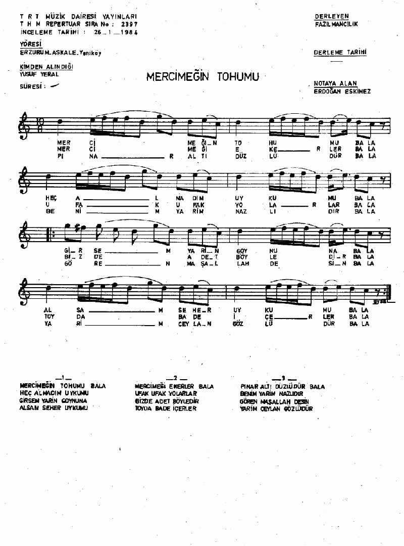 MERCİMEĞİN TOHUMU