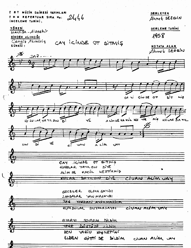 ÇAY İÇİNDE OT BİTMİŞ