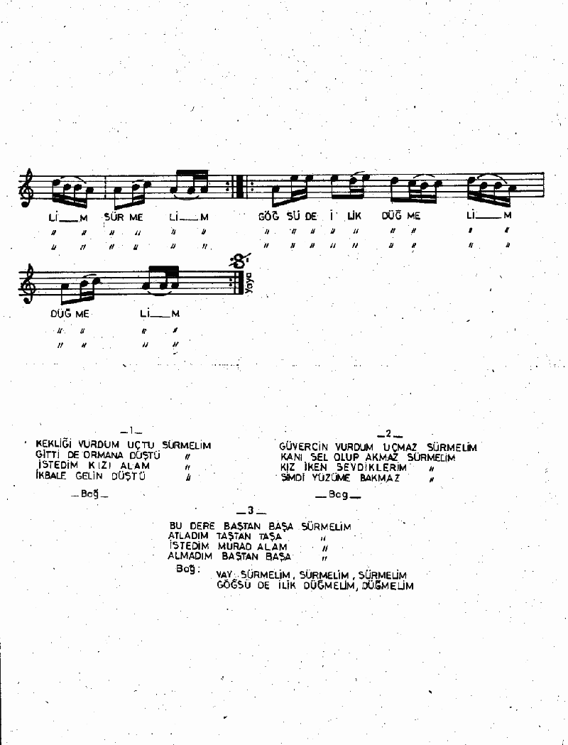 KEKLİĞİ VURDUM UÇTU (Sürmelim)