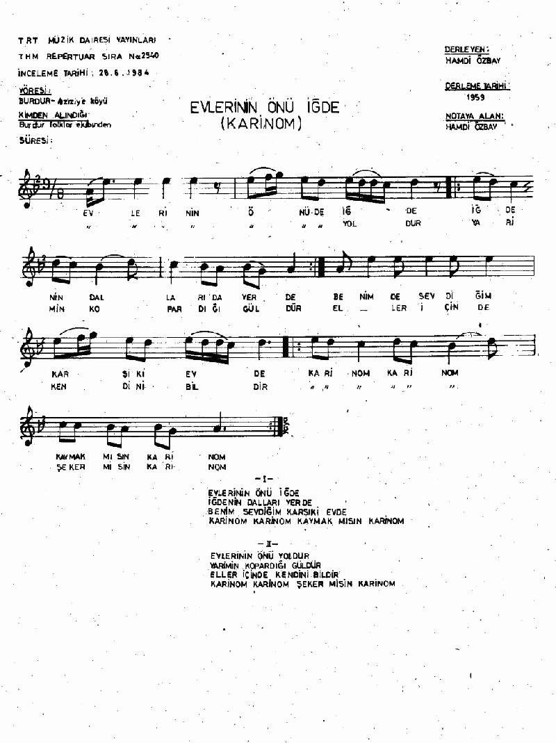 EVLERİNİN ÖNÜ DE İĞDE