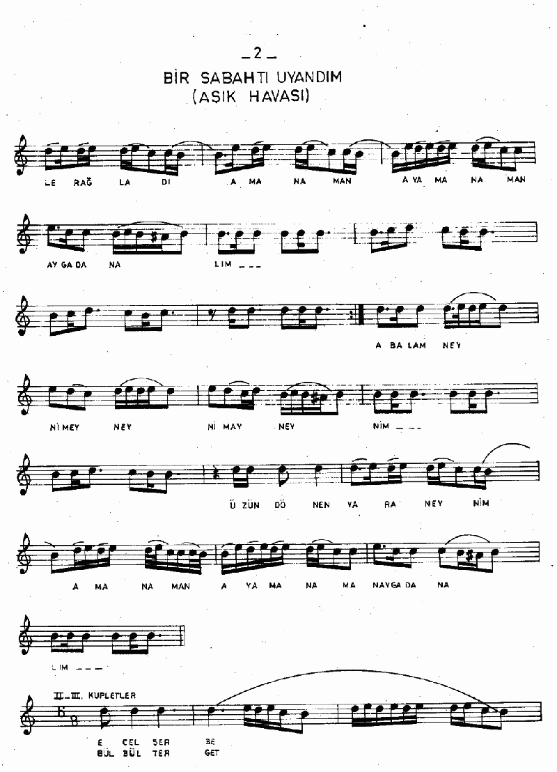 BİR SABAH VAKTİ UYANDIM