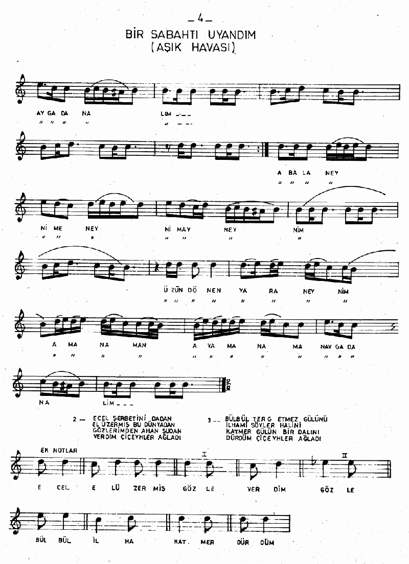 BİR SABAH VAKTİ UYANDIM