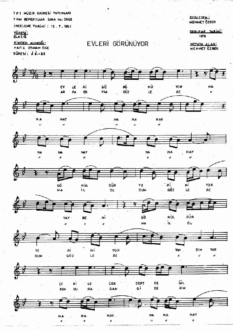 EVLERİ GÖRÜNÜYOR - III