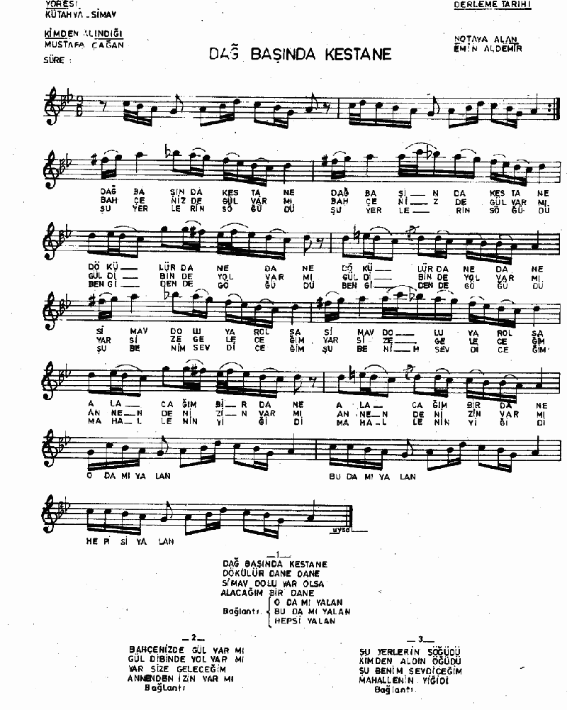 DAĞ BAŞINDA KESTANE