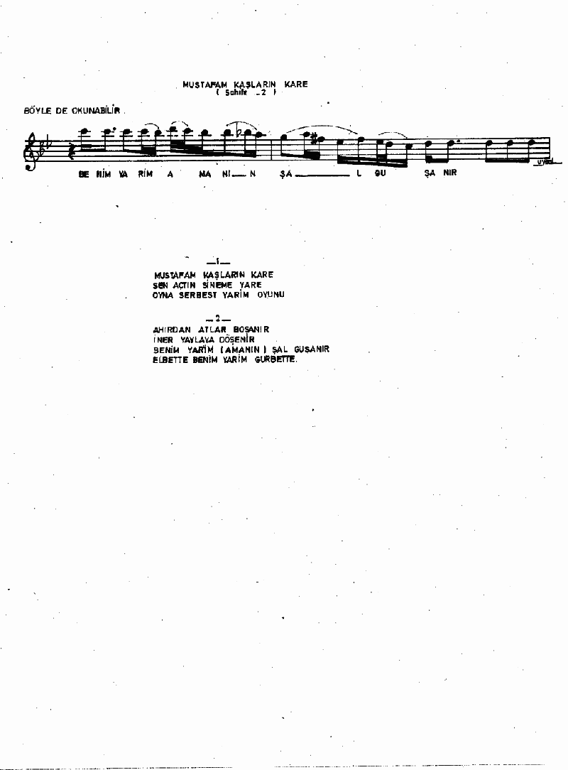 MUSTAFA'M KAŞLARIN KARE