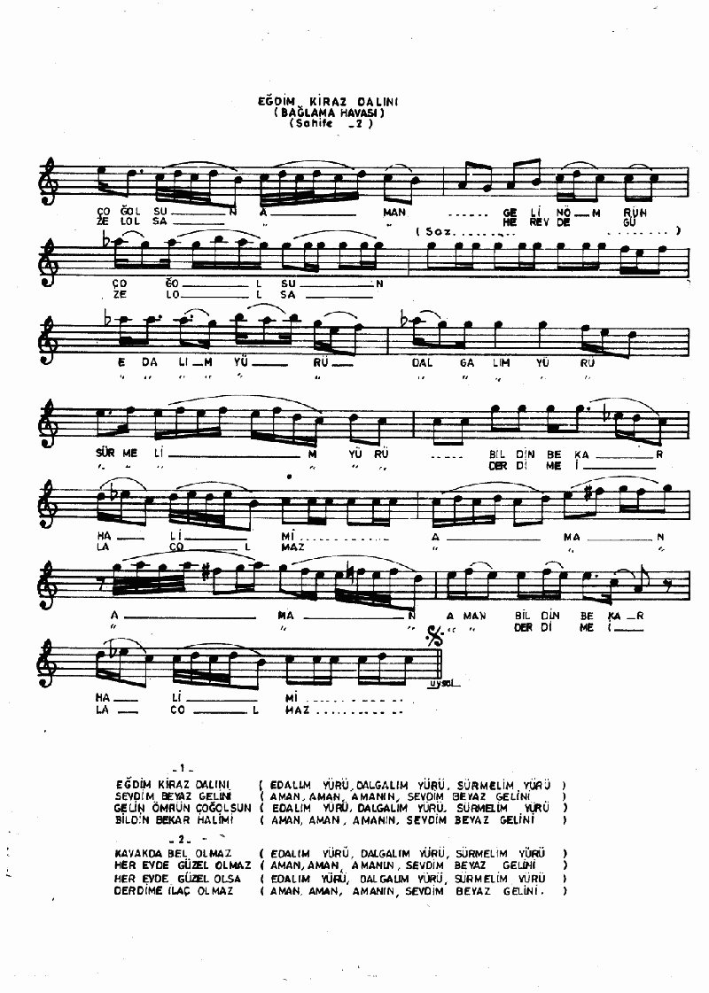 EĞDİM KİRAZ DALINI