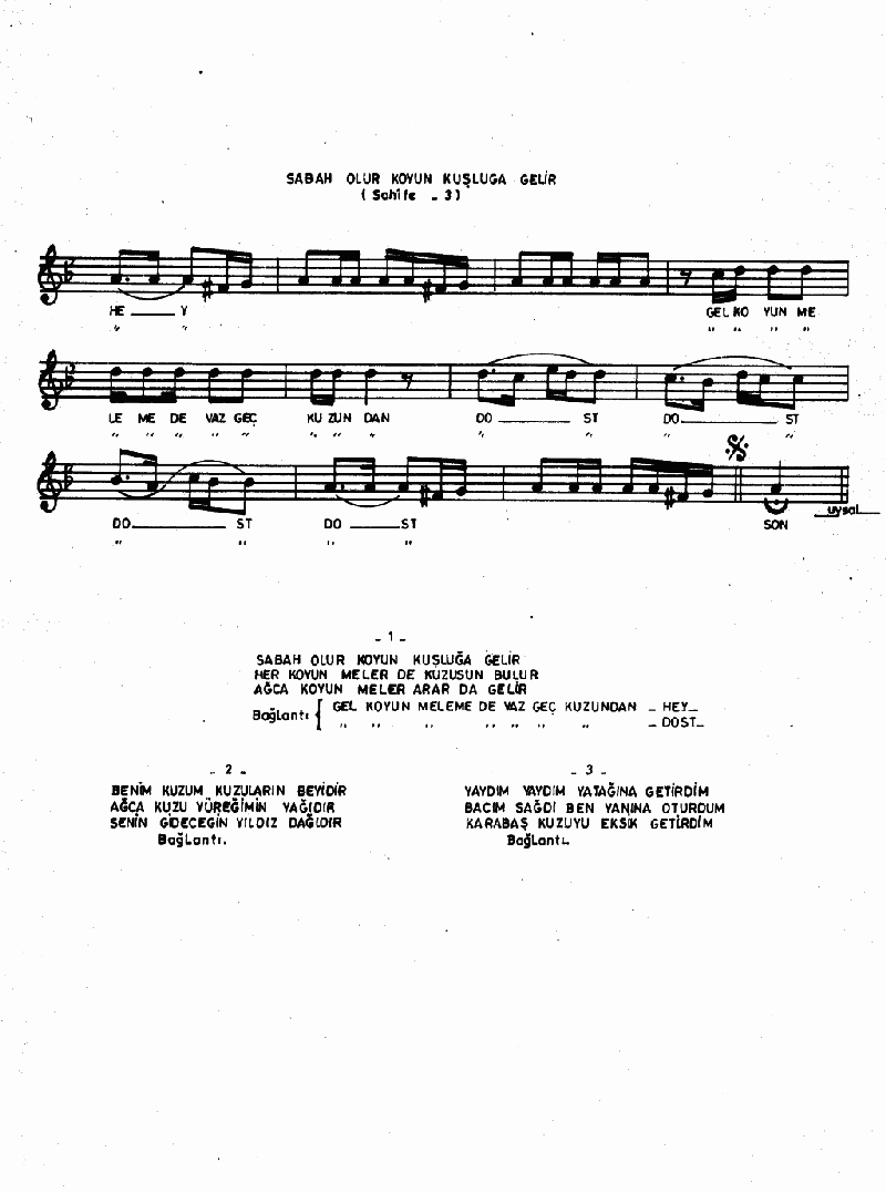 SABAH OLUR KOYUN KUŞLUĞA GELİR